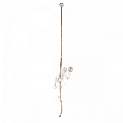 Подвесной светильник Loft it Monkey 10314P 400_400_1850310