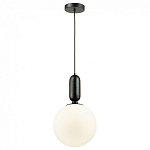Подвесной светильник Odeon Light Okia 4671/1 250_100_Array
