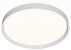 Накладной светильник Denkirs PLATO DK6511-WH 100_100_3149776
