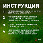 Накладной светильник Эра  ERAFS012-03 250_100_3103791