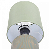 Настольная лампа декоративная Lumion Niana 8222/1T 100_100_1866616