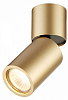 Накладной светильник Odeon Light Duetta 3895/1C 100_100_1723862