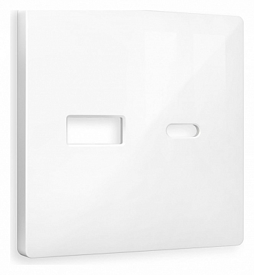 Накладка для розетки type A и C Ambrella Volt ALFA AP1110 400_400_2184364