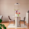 Подвесной светильник Lightstar Celesta 809210 100_100_1720078