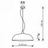 Подвесной светильник Lighthall Raylin LH032069 100_100_3114472