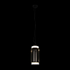Подвесной светильник Loft it Noctambule 10194/S 100_100_1848465