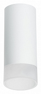 Накладной светильник Lightstar Rullo R648681 500_191_2448440