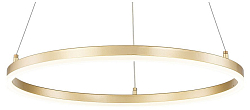 Подвесной светильник Escada Void 10254/1LED Gold APP 250_100_Array