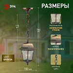 Подвесной светильник Эра  НСУ 04-60-001 бронза 250_100_3092363