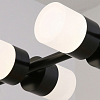 Светильник на штанге LIGHTERA Ontario LE115L-12B 100_100_2049668