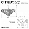 Подвесная люстра Citilux Sagrada CL317261 100_100_1694707