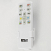 Накладной светильник Citilux ENZO CL753352G 100_100_3148899