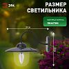 Светильник на штанге Эра  ERASF22-38 100_100_3079549