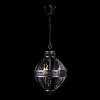 Подвесной светильник Loft it Lantern Residential LOFT3043-BL 100_100_2477707