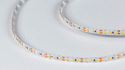 Лента светодиодная DesignLed DSG3120 00-00001487 250_100_3101105