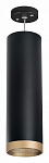 Подвесной светильник Lightstar Rullo RP649790 250_100_1716348