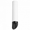Накладной светильник Lightstar Rullo R49637 100_100_2448420