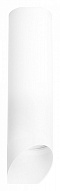 Накладной светильник Lightstar Rullo R649686 500_191_2448457