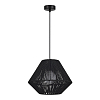 SLE6025-403-01 Светильник подвесной черный/черный E27 1*40W СЕННА 100_100_763717
