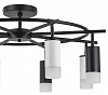 Люстра на штанге Lightstar Rullo LR7183743641 100_100_1716536