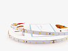 Лента светодиодная LEDS POWER LUX160 006024 100_100_2441004