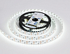Лента светодиодная Ambrella Light GS GS1703 100_100_2025253
