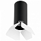 Накладной светильник Lightstar Rullo R487436
