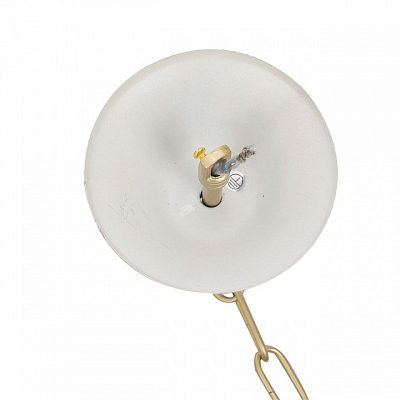 Подвесная люстра Lumion SUANA 8318/12 400_400_2173091