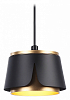 Подвесной светильник Ambrella Light TN TN71247 100_100_2453418