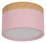 Накладной светильник Loft it Grape 10162 Pink 250_100_Array