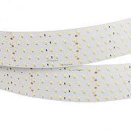 Лента светодиодная Arlight RT 2-2500 24V White6000 5x2 (2835, 875 LED, LUX) 019082(B) 500_191_2440064