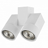 Светильник на штанге Lightstar Illumo X2 051036 100_100_2471023