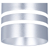Подвесной светильник Ambrella Light TN TN251 100_100_2001774