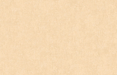 ARTS13 003/4 Обои Artsimple (1*6) 10,05x1,00 флизелин 250_100_Array