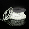 Лента светодиодная Elektrostandard LS015 220V a053640 100_100_2241939