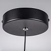 Подвесной светильник Lightstar Saturno 749017 100_100_1722932