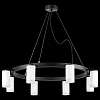 Подвесная люстра Lightstar Rullo LR0183680 100_100_1718397