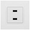 Розетка 2хUSB type A без рамки Эра Эра Elegance 14-4110-01 100_100_2400870