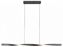 Подвесной светильник Lightstar Torino 615099 250_100_Array