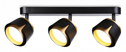 Спот Ambrella Light TN TN71237 250_100_Array