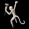 Бра Loft it Monkey 10314W/B 100_100_1850329