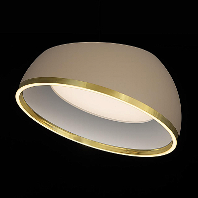 Накладной светильник Citilux FLOOM CL736152 400_400_3088860