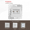 Розетка Ethernet RJ-45 без рамки Arte Milano am-203 203.45-2.silver 100_100_2166694