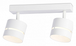 Спот Ambrella Light TN TN71058 250_100_2019486