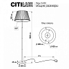Торшер Citilux Линц CL402973 100_100_1674173