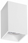 Накладной светильник Lightstar Rullo 213336 250_100_Array