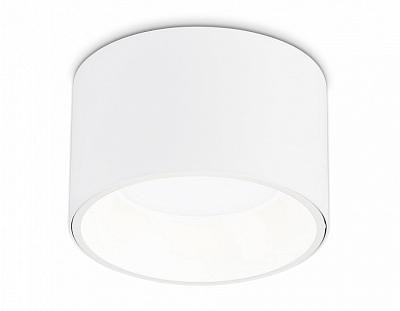 Накладной светильник Ambrella Light TN TN52892 400_400_2029712