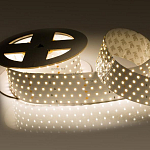Лента светодиодная Arlight RT 2-2500 24V White6000 5x2 (2835, 875 LED, LUX) 019082(B) 250_100_1889932