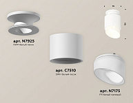 Накладной светильник Ambrella Light XS XS7510046 250_100_2010965