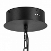 Подвесная люстра Lightstar Iris 734247 100_100_1719385